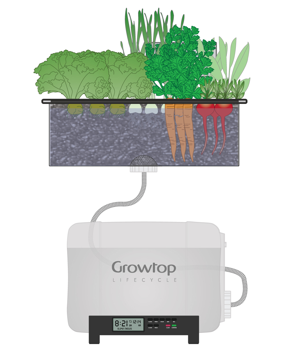 GrowTop How It Works Diagram